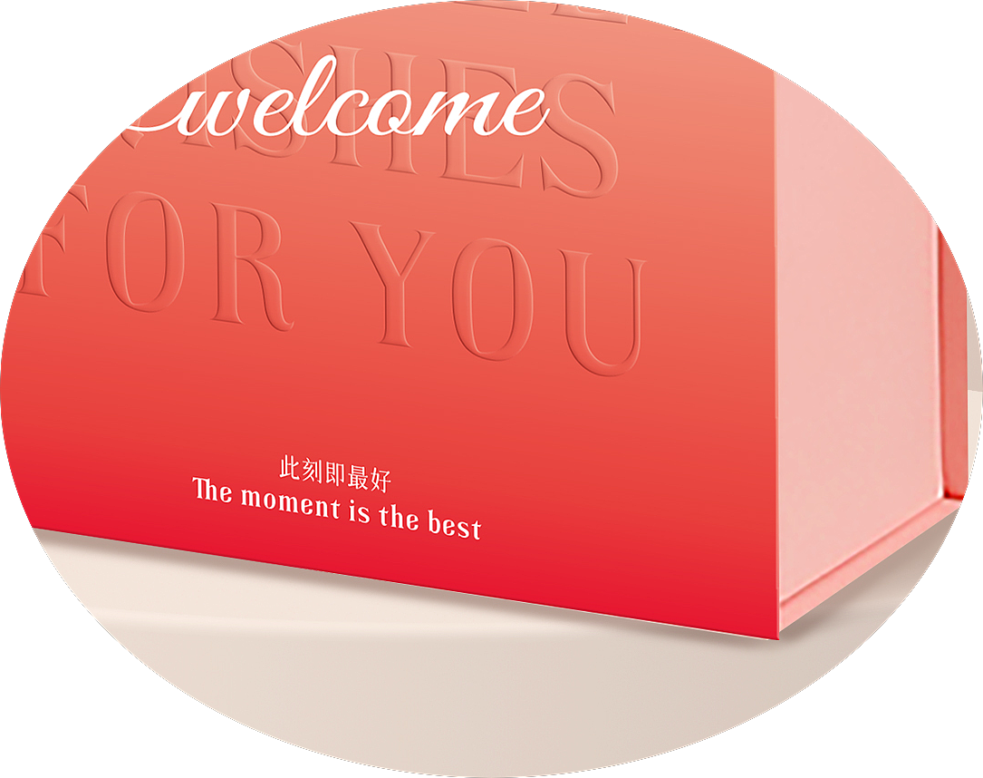 “special wishes”包装设计 伴手礼盒