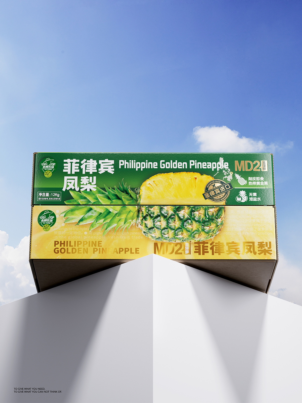 包装设计|菲律宾进口凤梨包装设计