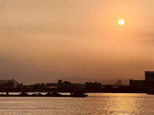 醉美日落-横栏西江花海醉美日落黄昏!
