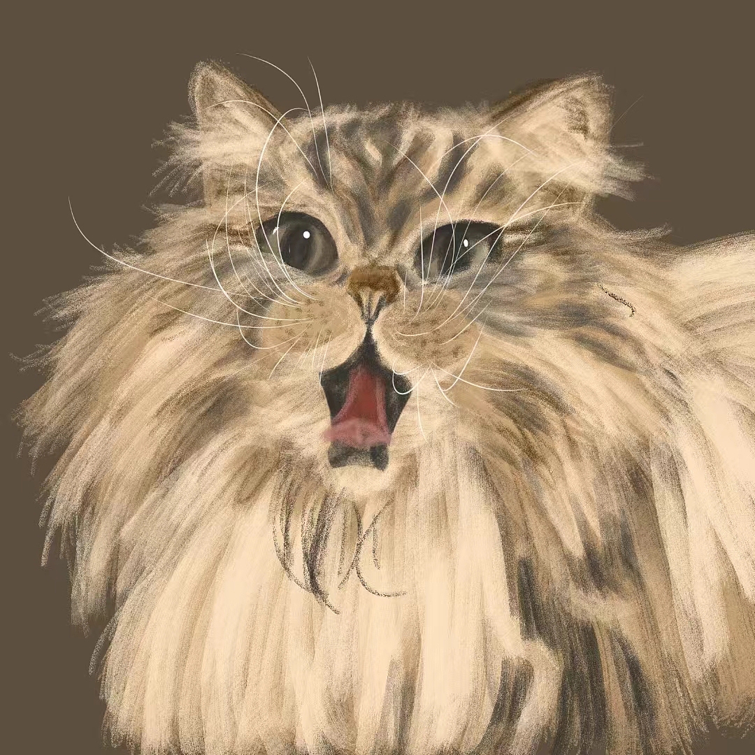 猫手绘插画