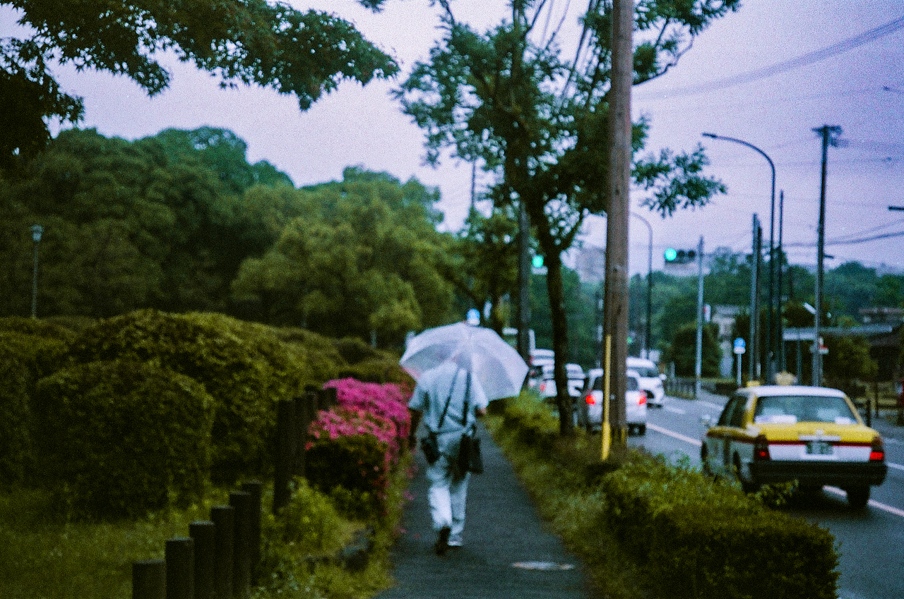 5月は福岡（图ZMzc2NTcxNDEy） - 人文/纪实摄影 - 站酷设计师HH19RY原创素材 - 站酷ZCOOL