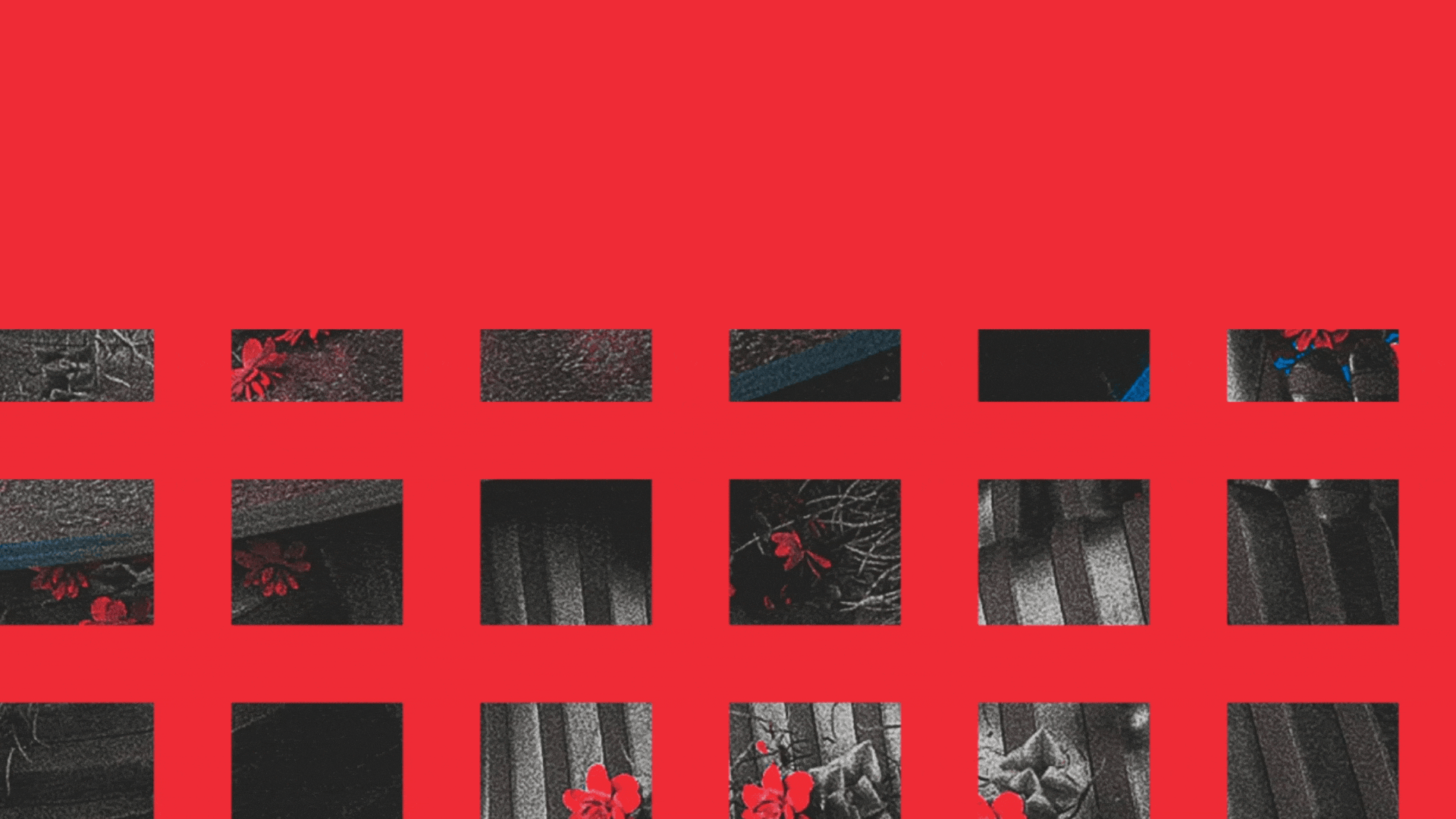 摄影企业官网&网页版式设计