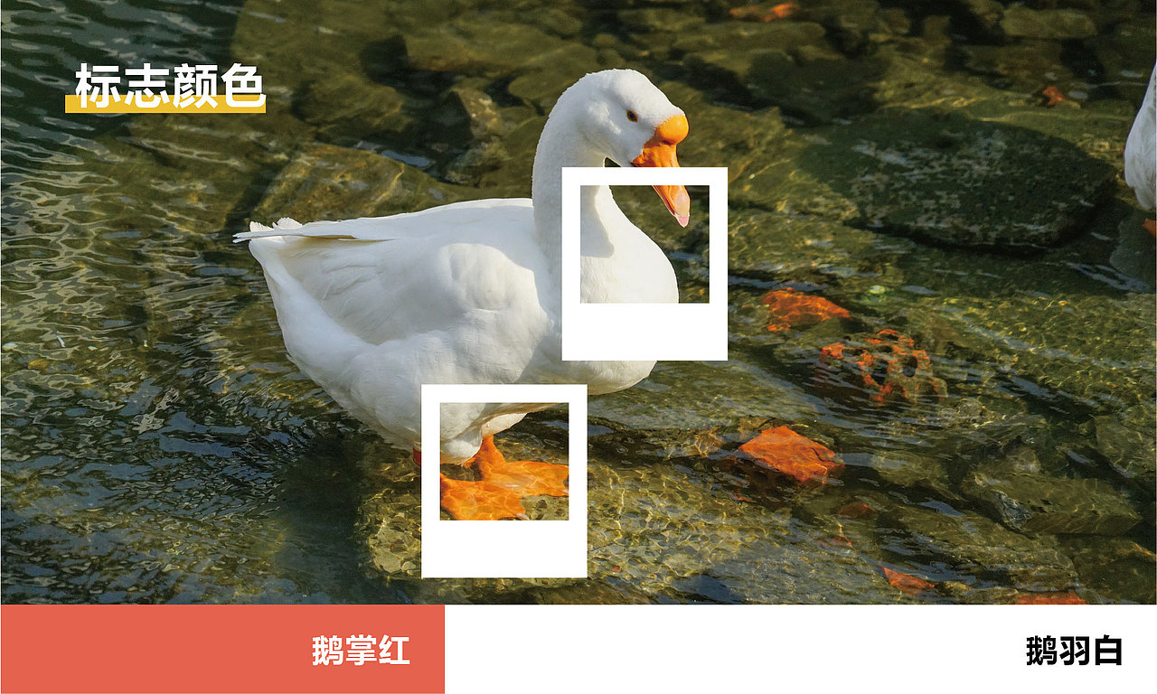 鹅叔农场 品牌视觉设计（图ZMzc2NjAyNDM2） - 品牌 - 站酷设计师yuan00000原创素材 - 站酷ZCOOL