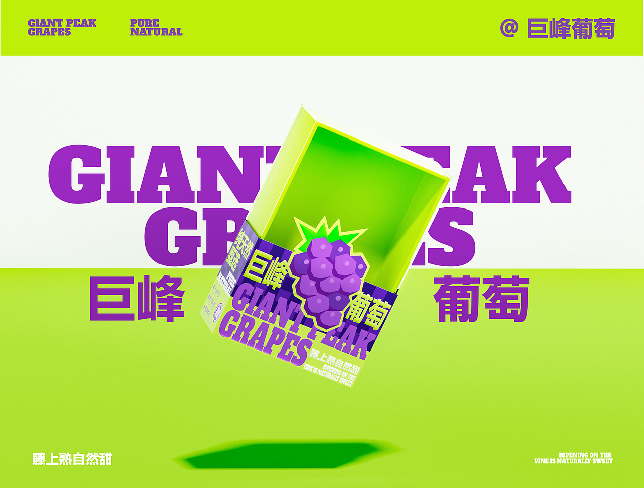 《浦江 / 巨峰葡萄》农产品葡萄水果包装设计
