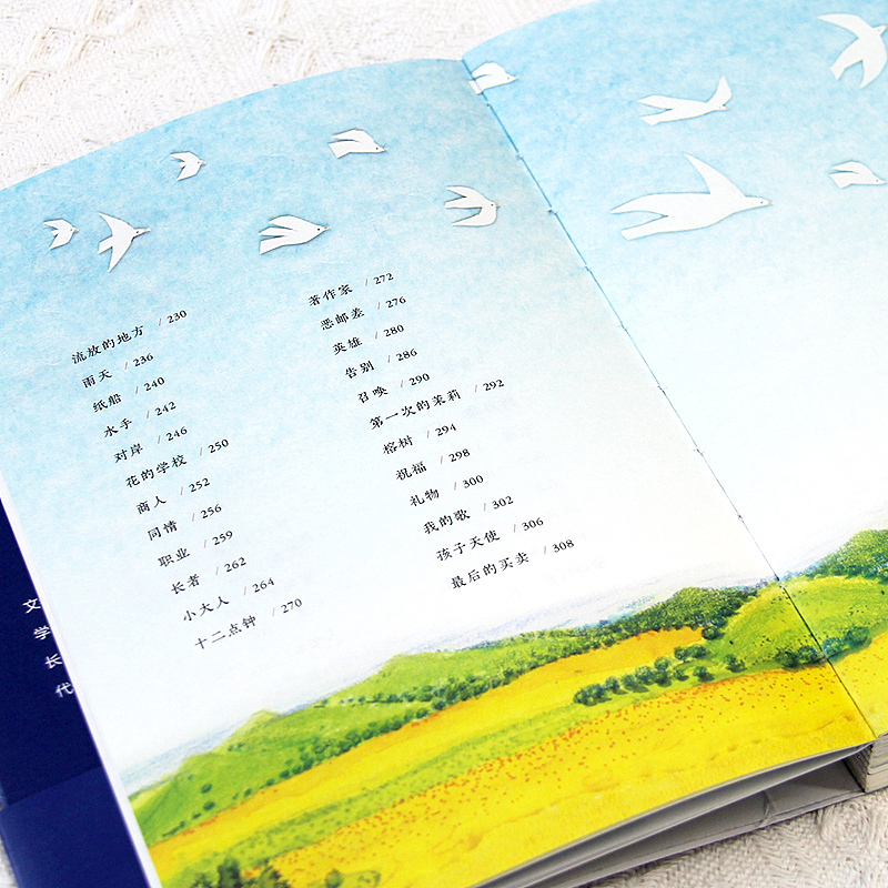 最近一些青春文集(图ZMzc2NjE2MDEy) - 书籍/画册 - 站酷设计师玖感_袁芳原创素材 - 站酷ZCOOL