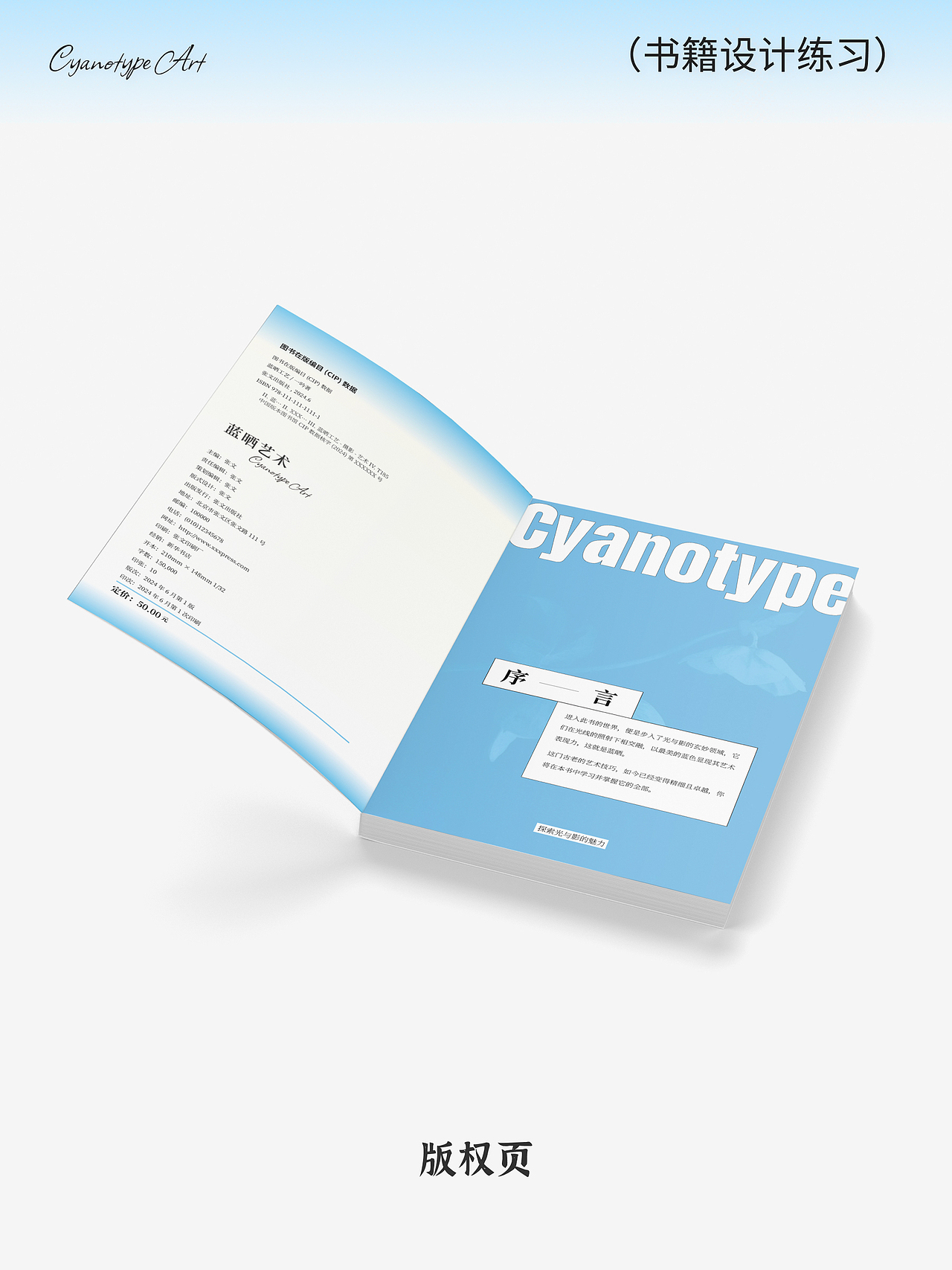 《蓝晒艺术》蓝色系 书籍设计练习（图ZMzc2NjIwNzY4） - 书籍/画册 - 站酷设计师1yin原创素材 - 站酷ZCOOL