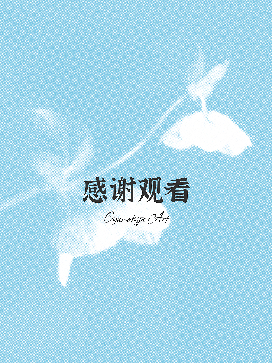 《蓝晒艺术》蓝色系 书籍设计练习