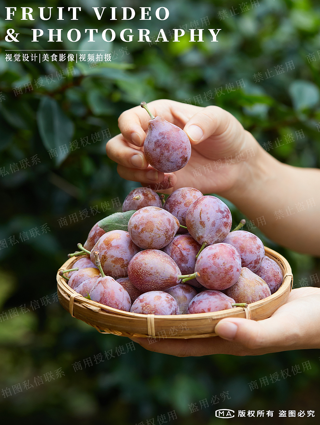 蔬菜水果农产品拍摄|电商拍摄|生鲜水果摄影（图ZMzc2NjM2Njky） - 美食摄影 - 站酷设计师艺榴视觉工作室原创素材 - 站酷ZCOOL