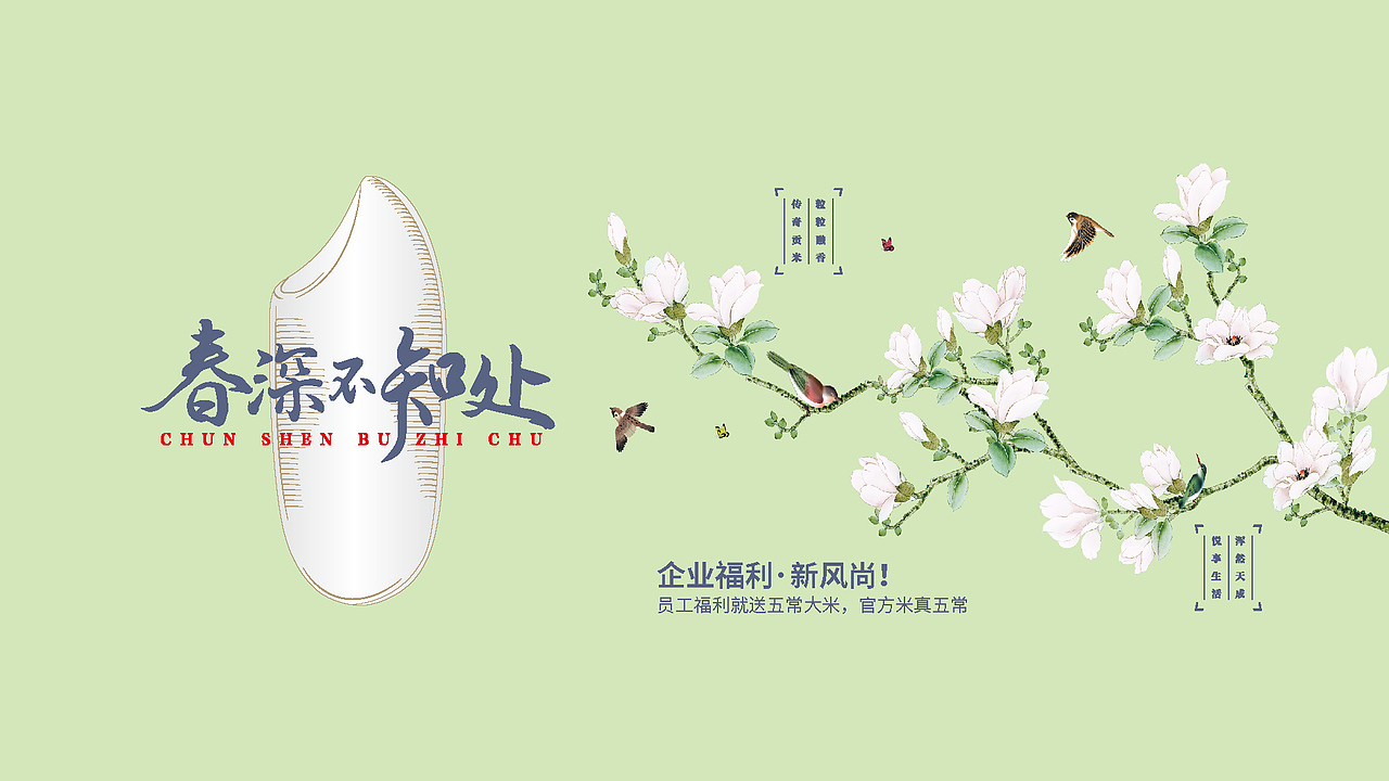 五常大米官方体验店春夏秋冬四季礼盒设计