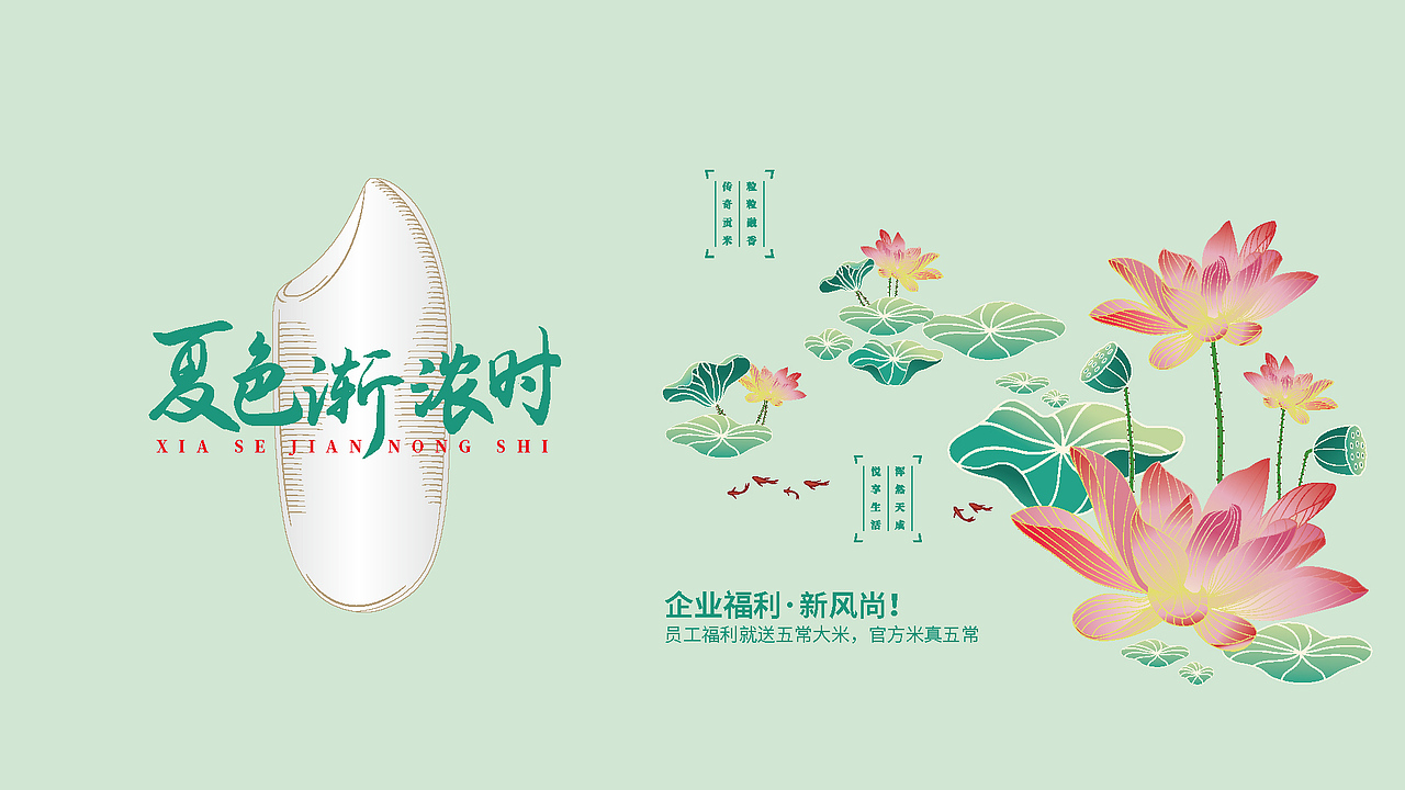 五常大米官方体验店春夏秋冬四季礼盒设计