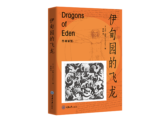 伊甸园的飞龙