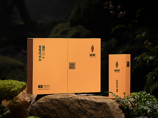 慧苑坑水仙｜岩和茶叶拍摄
