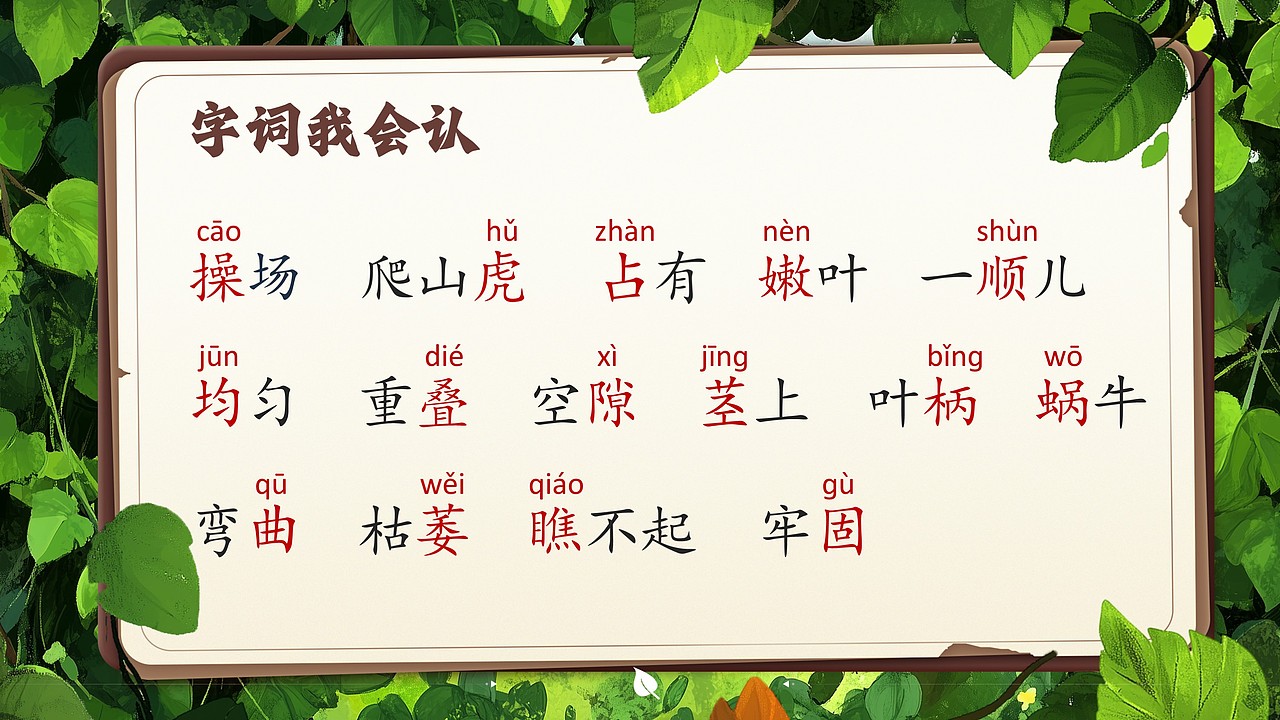 小学公开课课件《爬山虎的脚》