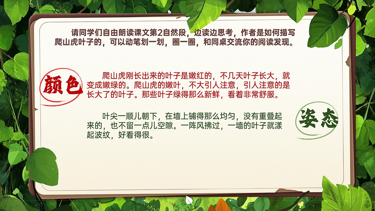 小学公开课课件《爬山虎的脚》