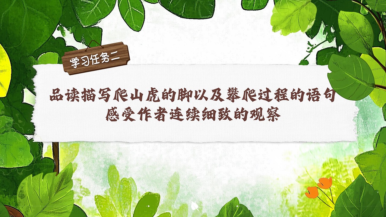 小学公开课课件《爬山虎的脚》