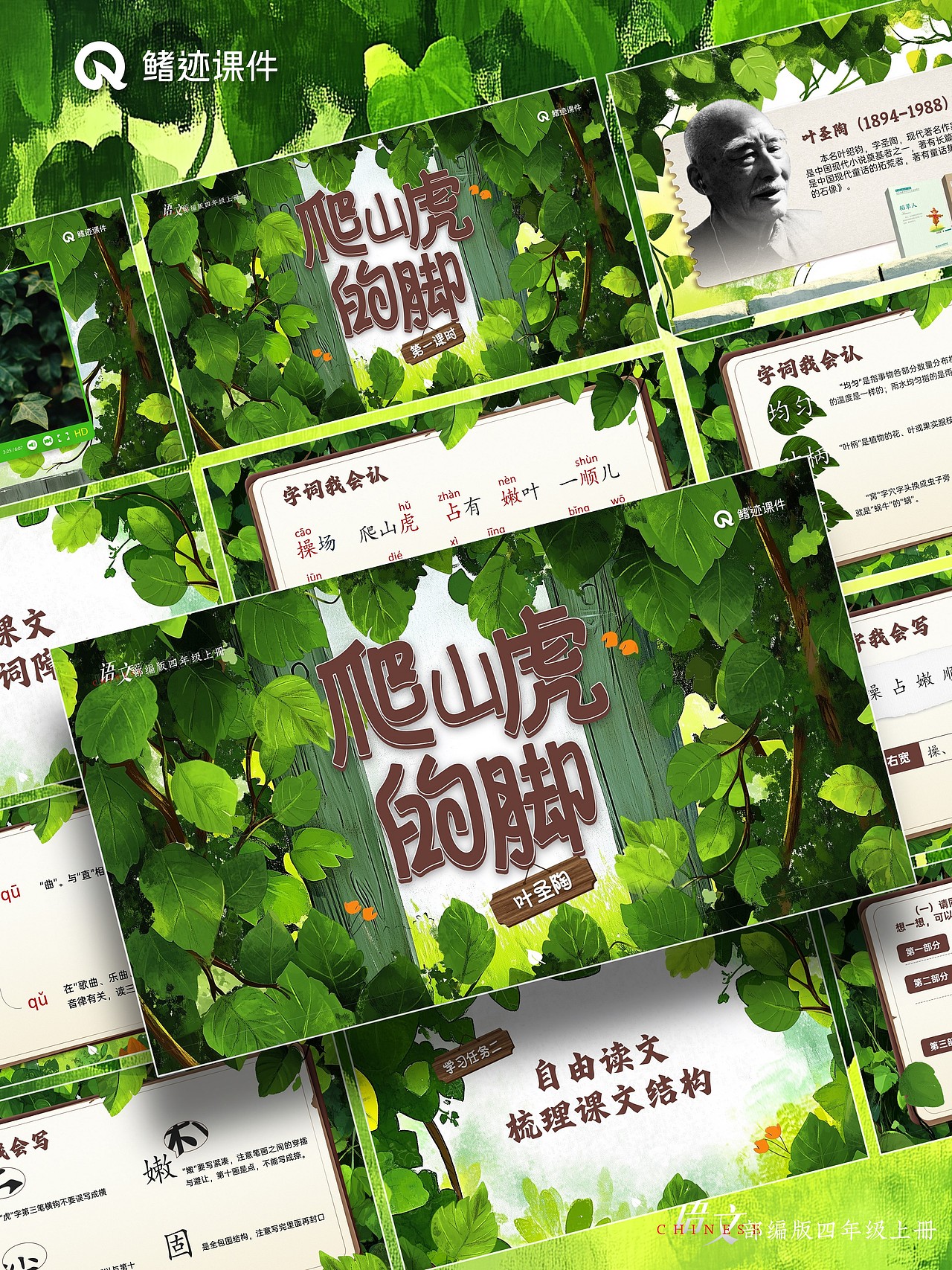 小学公开课课件《爬山虎的脚》