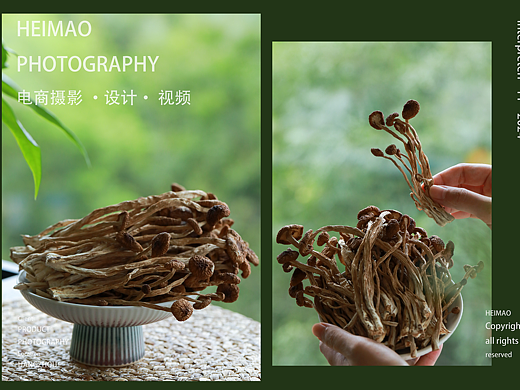 农产品摄影/菌菇拍摄/新中式风格静物摄影