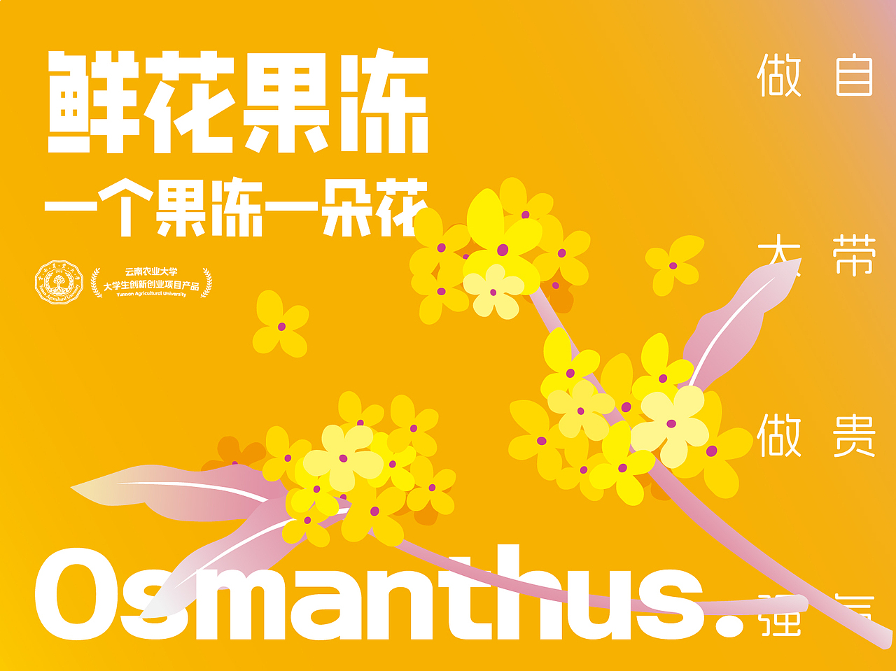 鲜花果冻系列包装设计