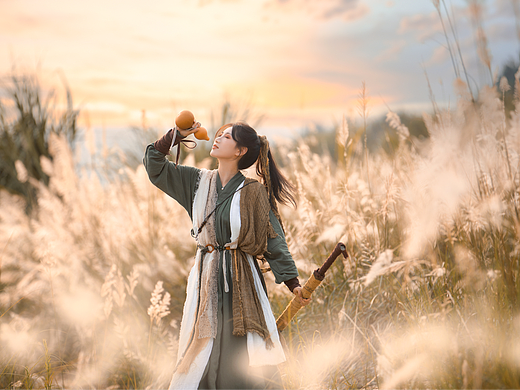 芦花行