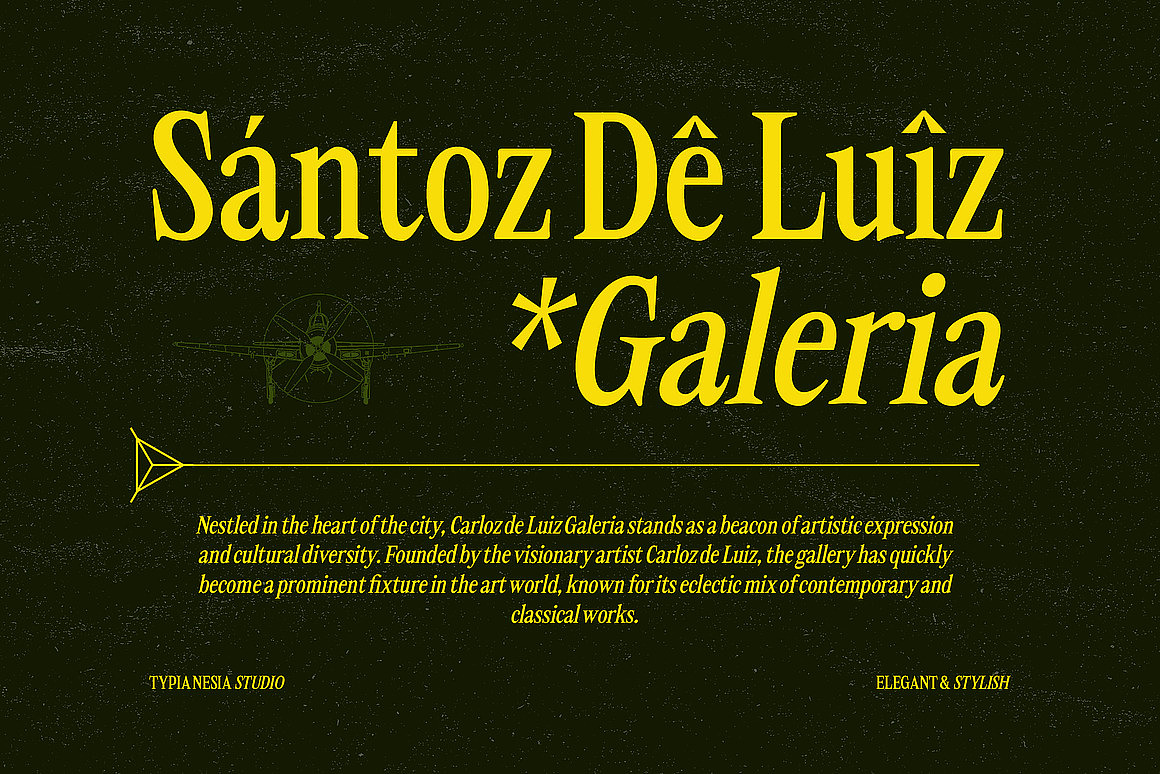 经典优雅现代文创包装婚礼请柬邀请函标题衬线英文字体