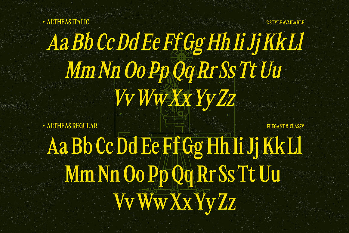 经典优雅现代文创包装婚礼请柬邀请函标题衬线英文字体