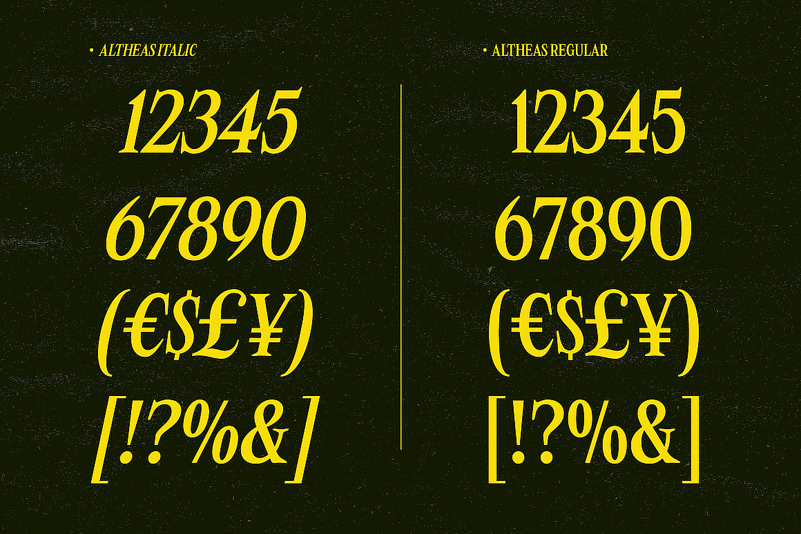 经典优雅现代文创包装婚礼请柬邀请函标题衬线英文字体