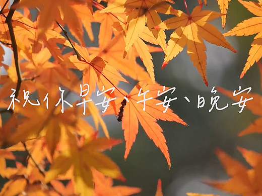 祝你早安、午安、晚安