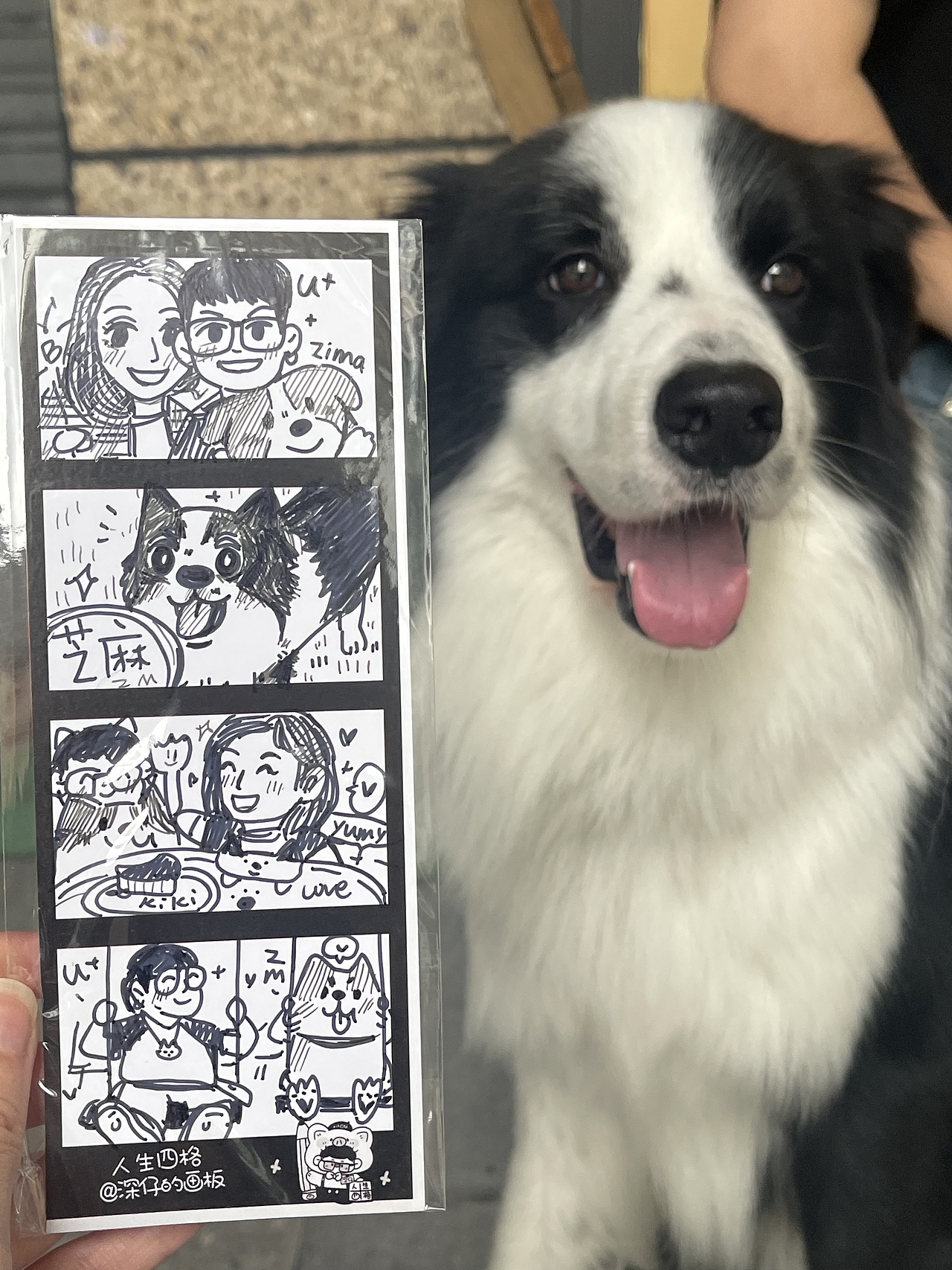 我画的人生四格