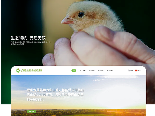 生态养殖网页2.0视觉升级版