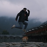 喵海的头像