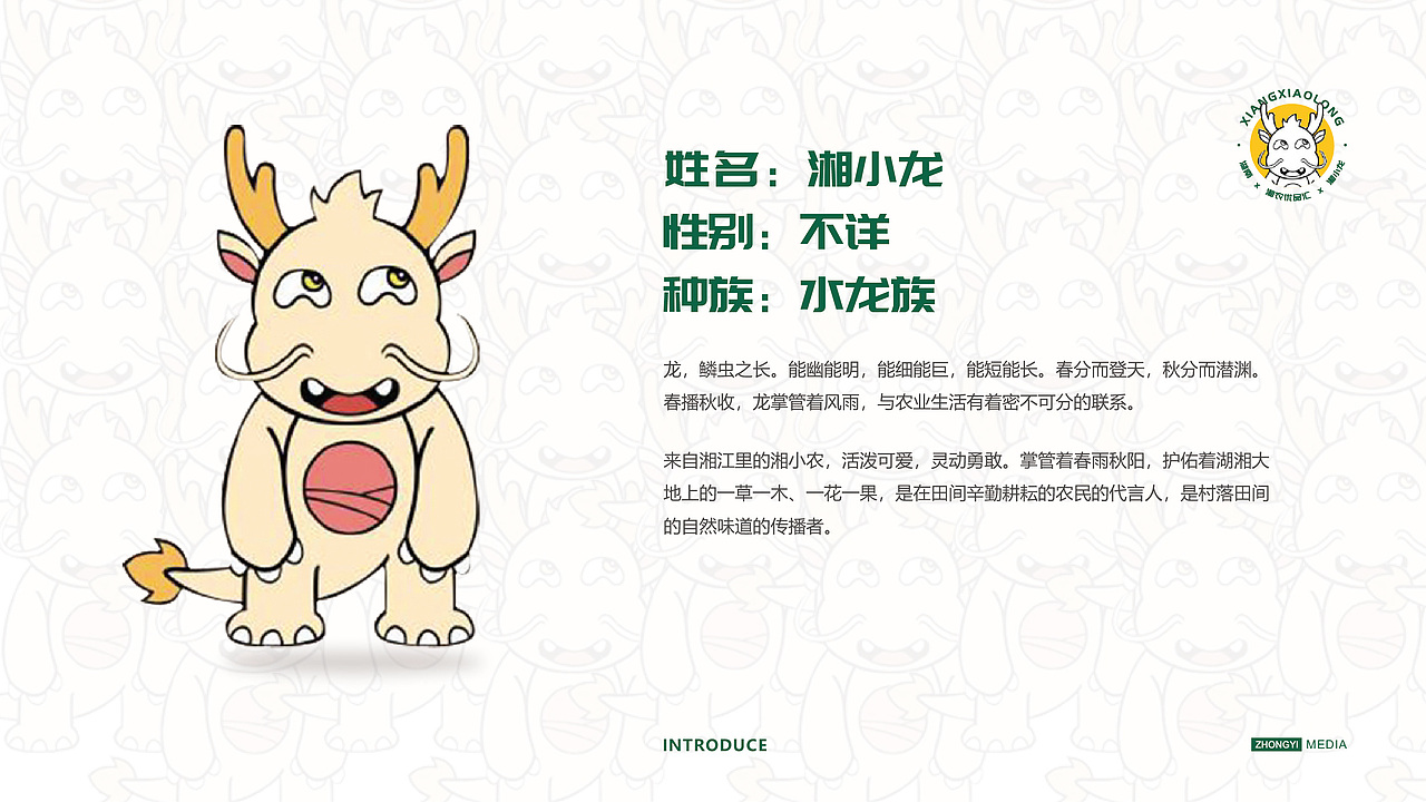 IP—湘小龙（图ZMzc2ODA1NTEy） - 品牌 - 站酷设计师初小五原创素材 - 站酷ZCOOL