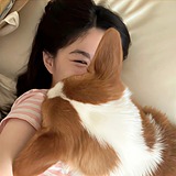 用戶頭像