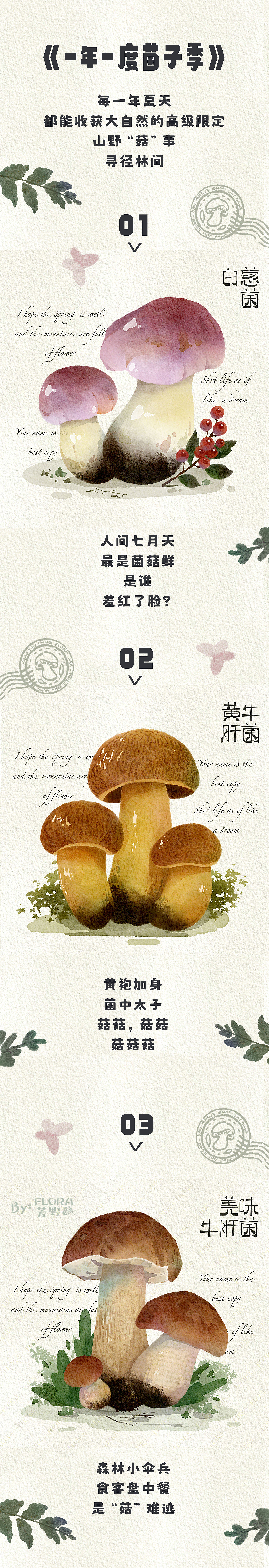 云南野生食用菌文创插画与设计（图ZMzc2ODI5MzQw） - 商业插画 - 站酷设计师Flora芳野原创素材 - 站酷ZCOOL