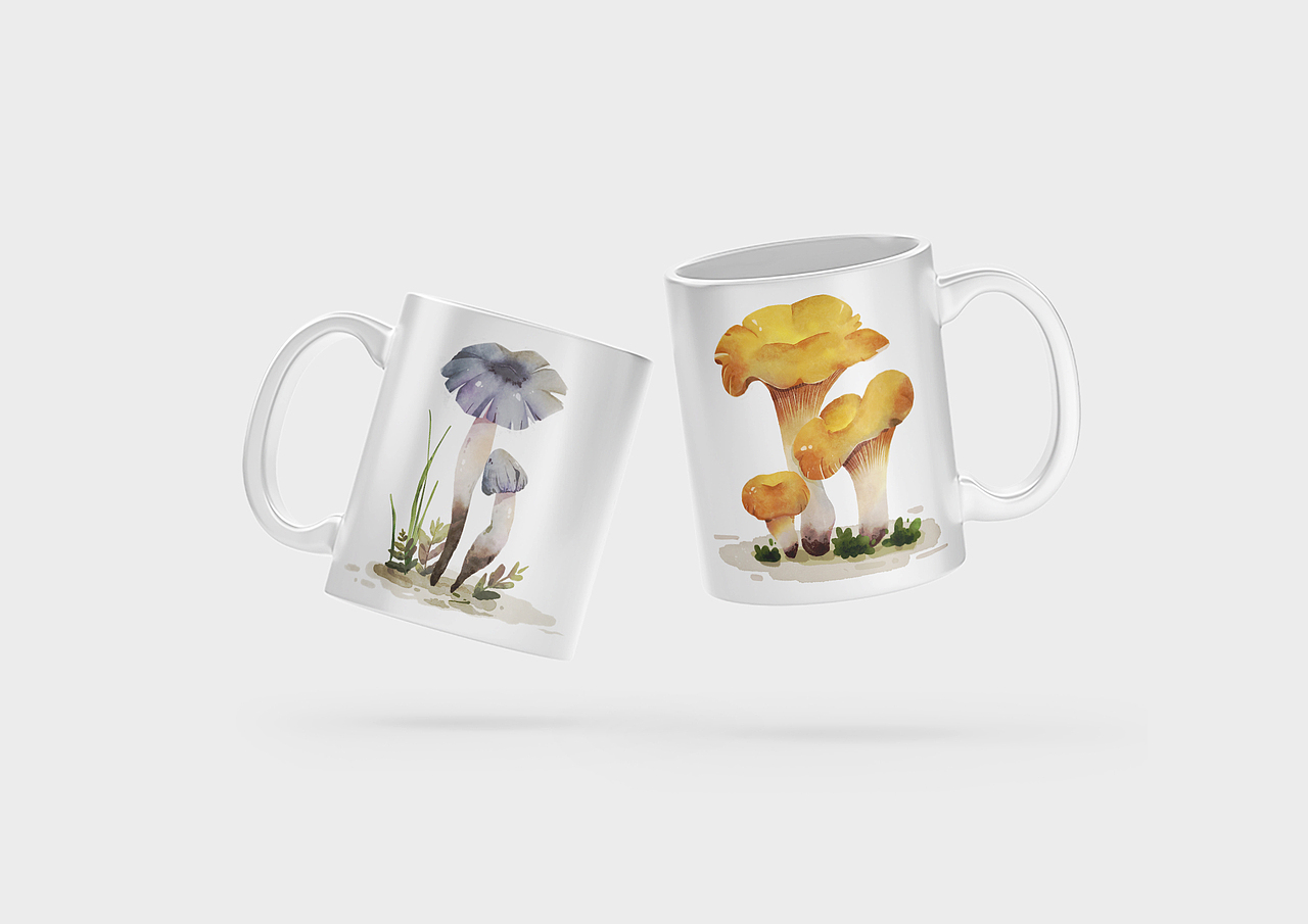 云南野生食用菌文创插画与设计（图ZMzc2ODI5NjA0） - 商业插画 - 站酷设计师Flora芳野原创素材 - 站酷ZCOOL