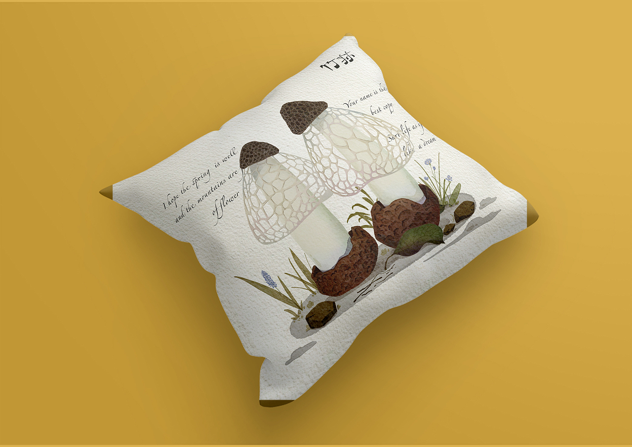 云南野生食用菌文创插画与设计（图ZMzc2ODI5NjUy） - 商业插画 - 站酷设计师Flora芳野原创素材 - 站酷ZCOOL