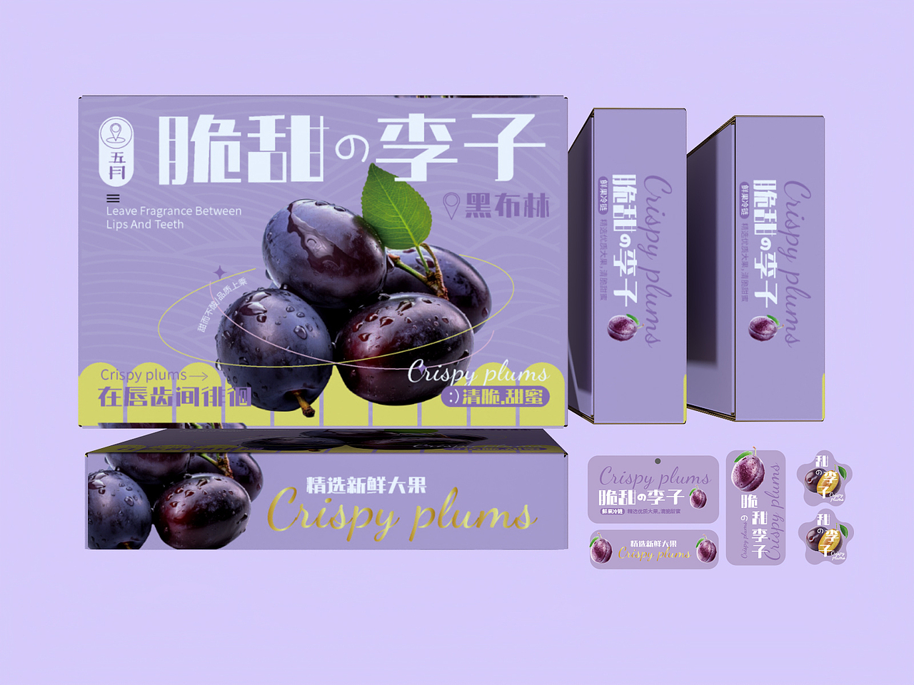 原创李子礼盒包装设计（图ZMzc2ODM2OTcy） - 包装 - 站酷设计师公子云帆原创素材 - 站酷ZCOOL