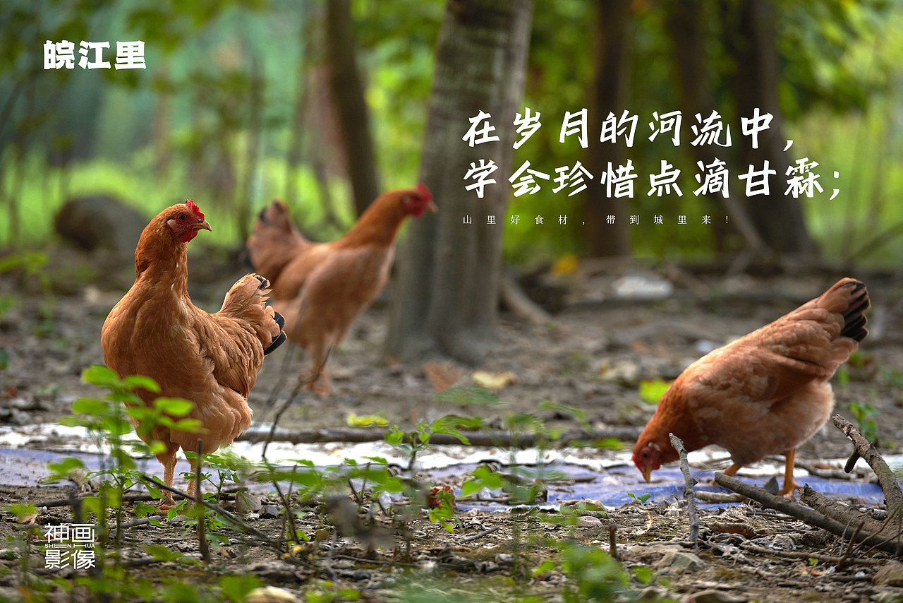 为安微《皖江里》拍摄的一组菜品文化（图ZMzc2ODQwNTQw） - 人文/纪实摄影 - 站酷设计师武汉高级美食摄影原创素材 - 站酷ZCOOL