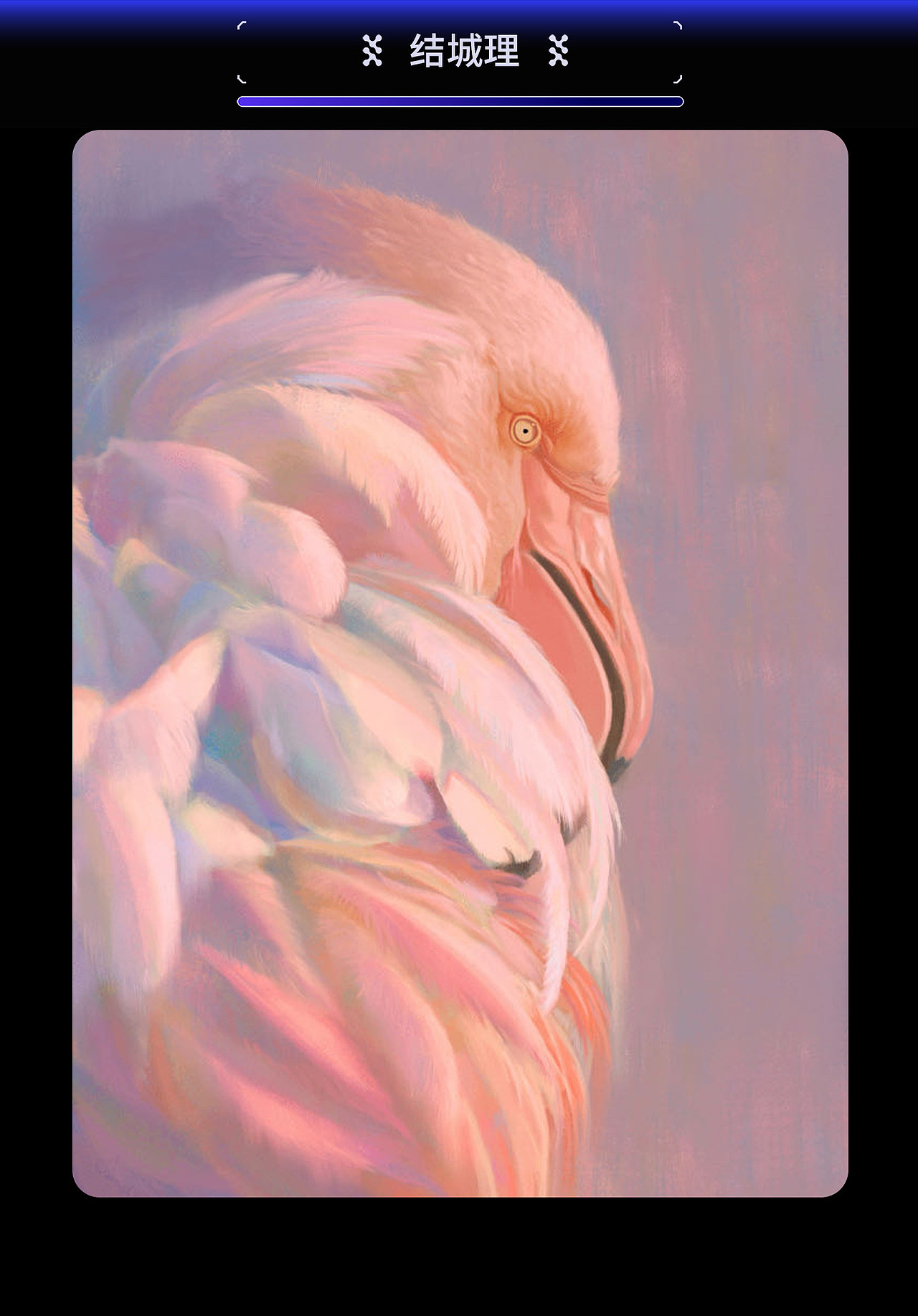 作业展示 | 第二十三期造型色彩基础班色彩小结(1)