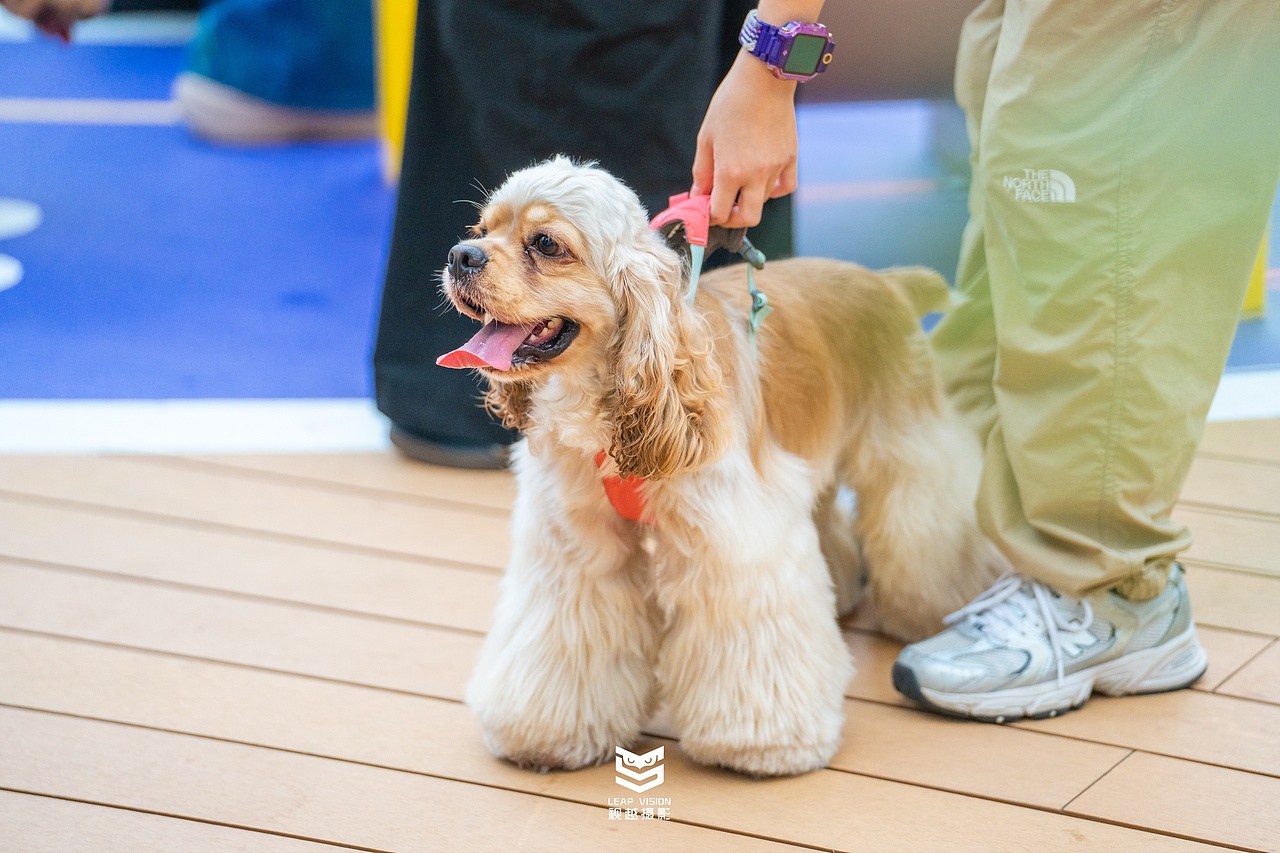 广州天环广场宠物乐园抓拍