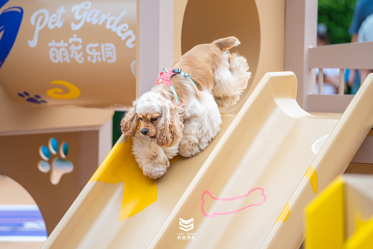 广州天环广场宠物乐园抓拍