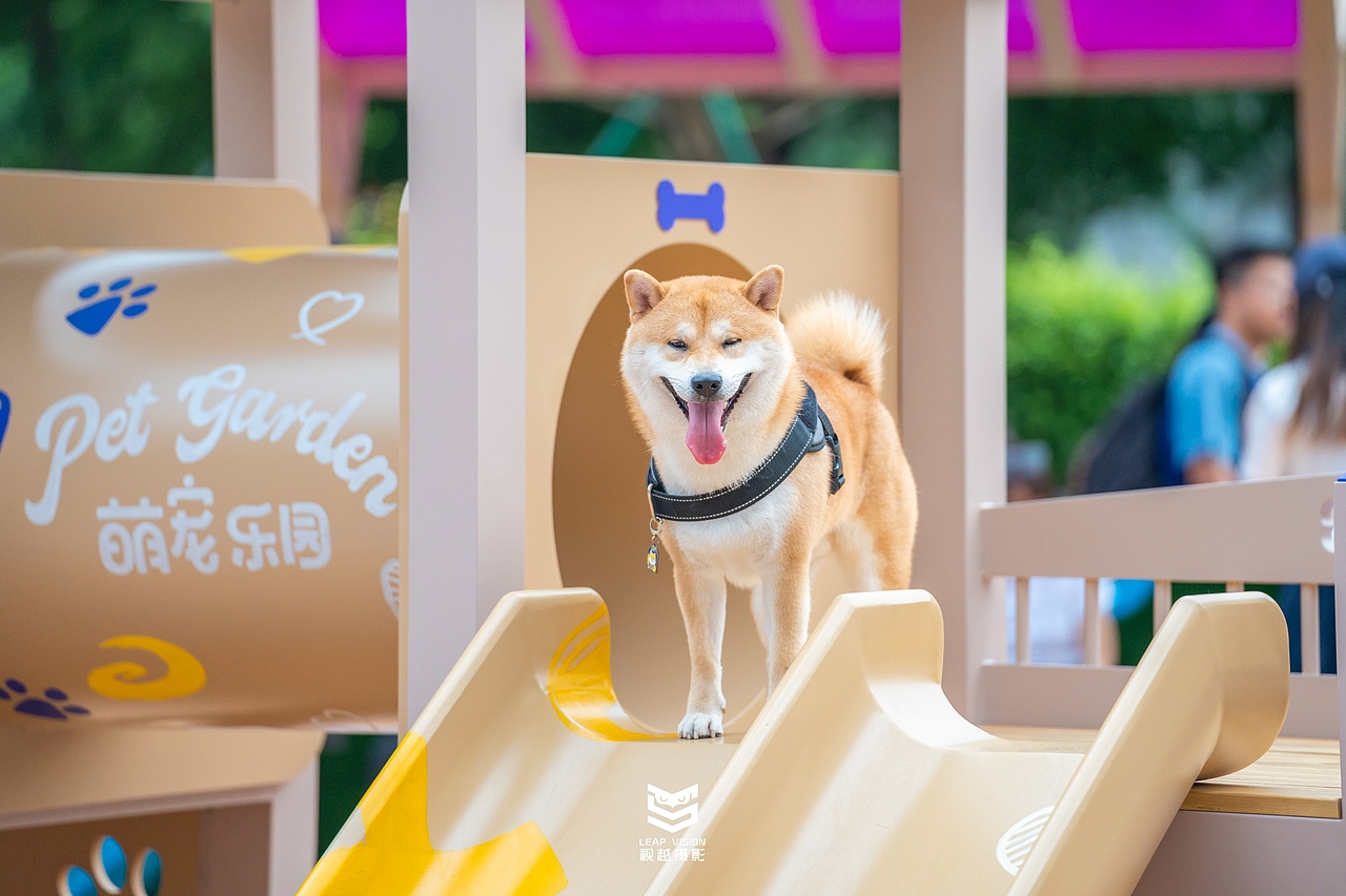 广州天环广场宠物乐园抓拍