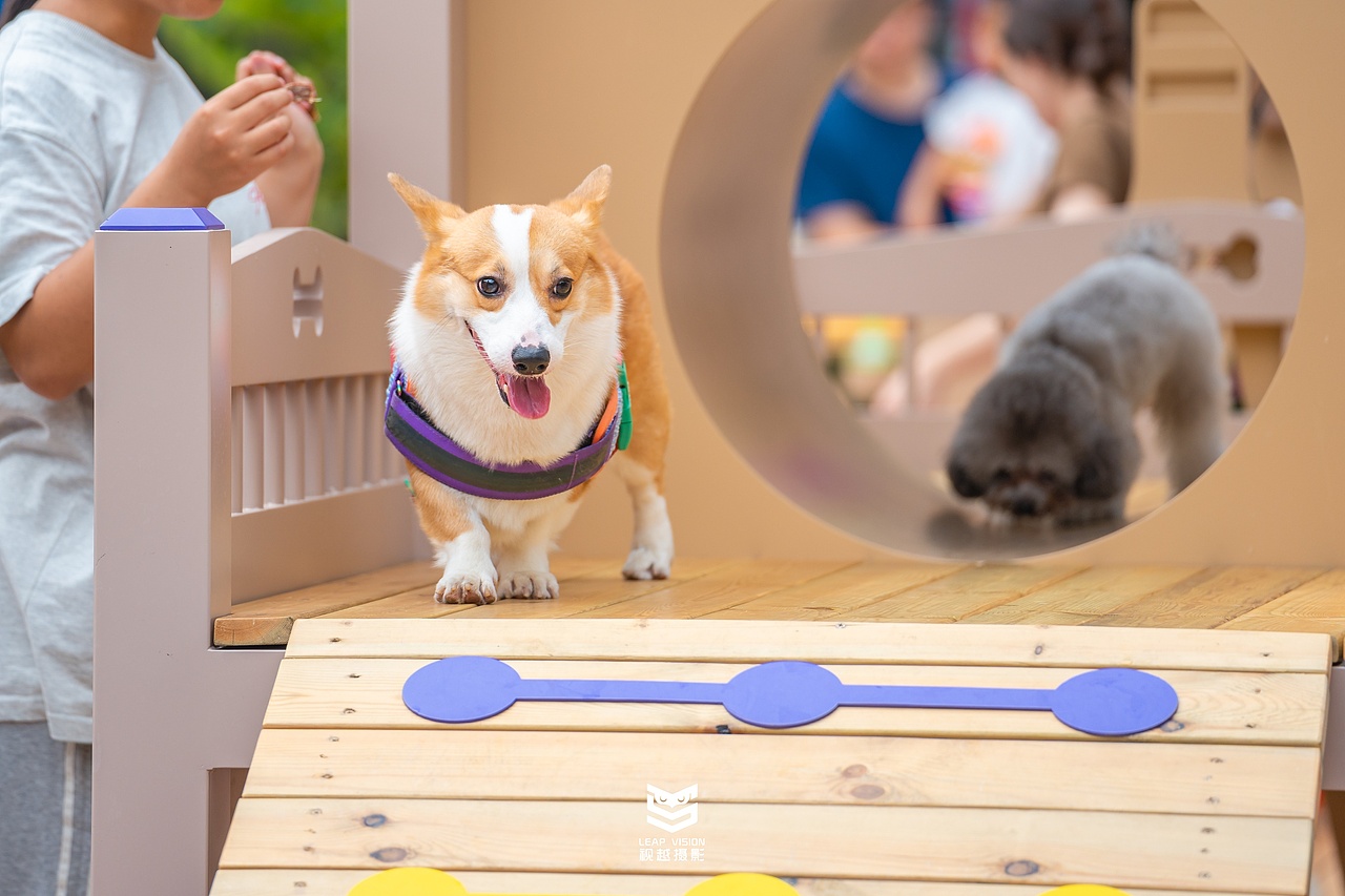 广州天环广场宠物乐园抓拍