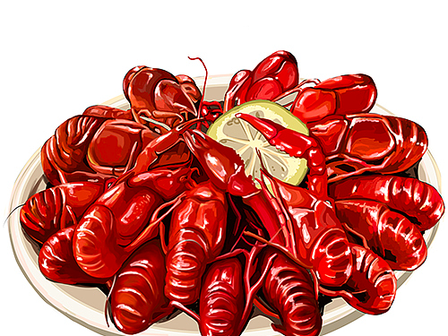 小龙虾插画