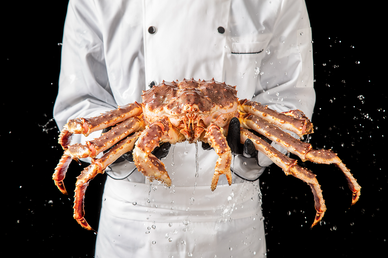 生猛帝王蟹（图ZMzc2ODcwMzU2） - 产品摄影 - 站酷设计师千与千浔原创素材 - 站酷ZCOOL