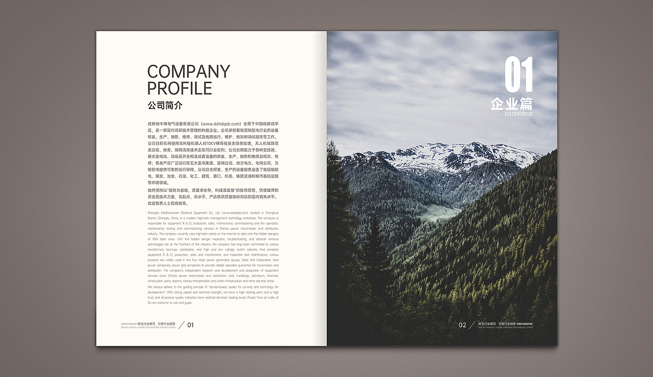 成都画册设计/成都地中海电气宣传品设计