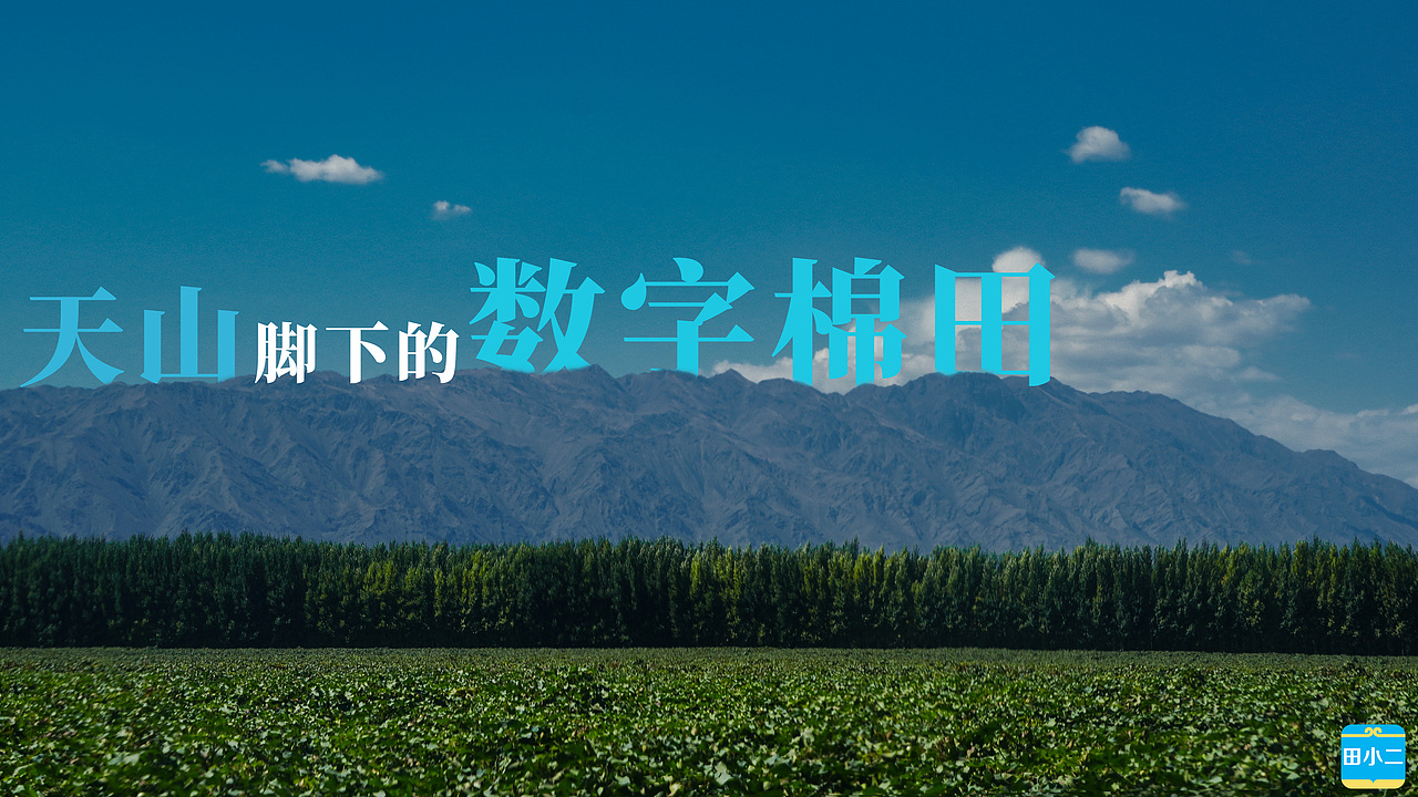 那些年做的封面