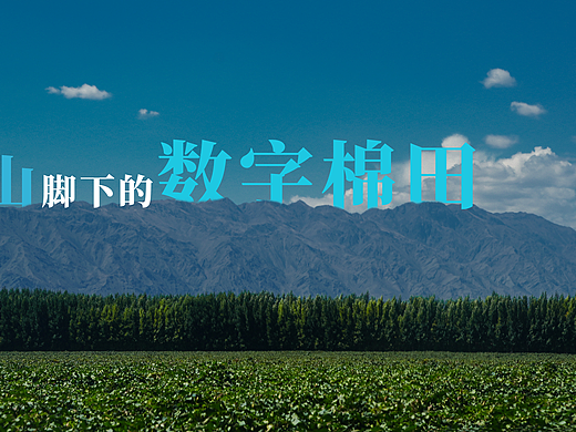 那些年做的封面