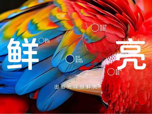 鹦鹉-Vol.5 车漆色泽耐久试验