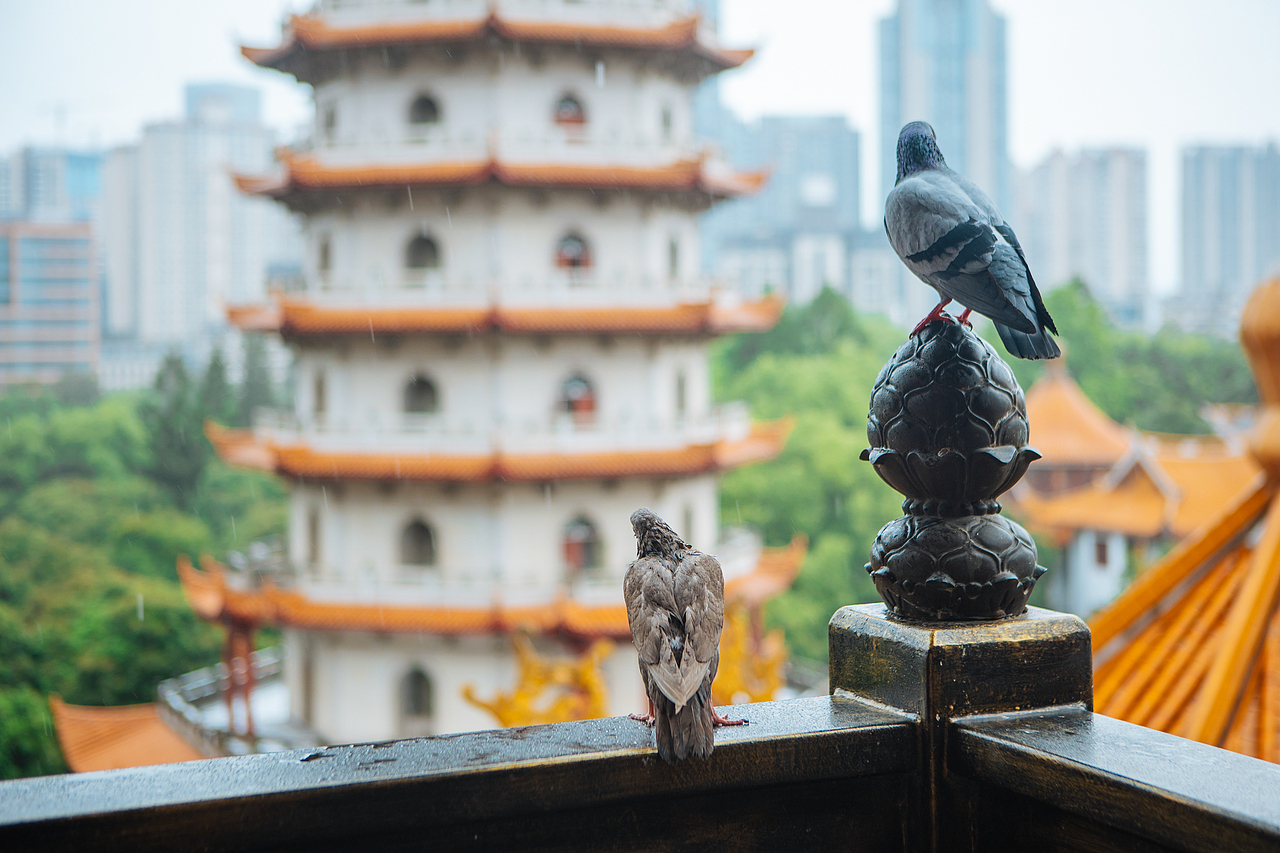 福州市西禅寺（图ZMzc2ODgyMTUy） - 环境/建筑摄影 - 站酷设计师商业配图原创素材 - 站酷ZCOOL