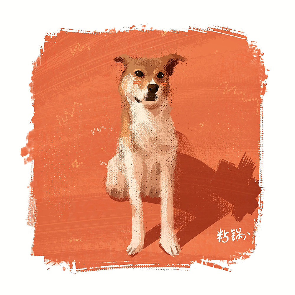 撸起猫狗就是干!